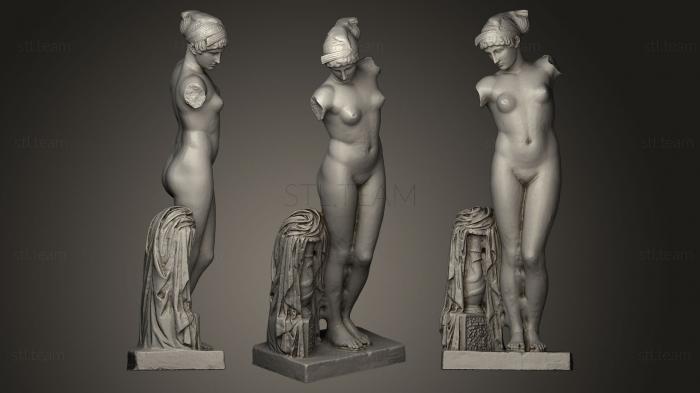 3D model Venus (STL)